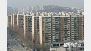 ‘재건축초과이익환수제’ 대대적 손질 나서나…입법조사처 보고서 발간