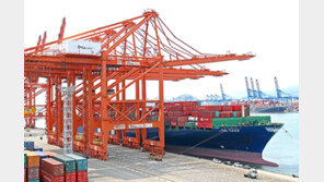 K-푸드도 통했다…5월까지 농수산식품 수출 52억 달러 ‘역대 최대’