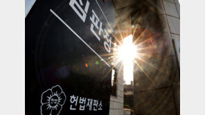 ‘15억 이상 아파트 주담대 금지’ 위헌일까…헌재 16일 공개변론 연다