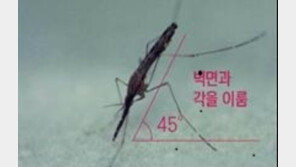 우리나라 말라리아 발생율 OECD 1위…경기도 발생환자 상승 ‘비상’