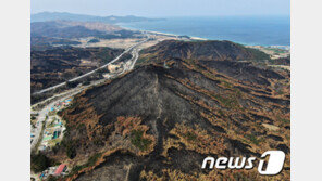 산불피해지 복원 일률적 조림 탈피…입지 따라 자연복원·조림 선택