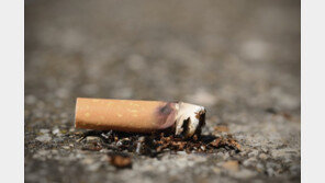 음주사고 후 도망간 운전자…숨어서 피던 담배 냄새에 발각