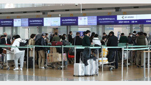 동남아서 ‘뎅기열’ 기승…“해외여행 시 각별한 주의 필요”