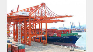 올해 농수산식품 누적 수출액 51억9000만 달러…역대 최고치