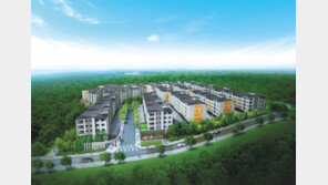 제주 영어교육도시 내 명품 단지 선착순 특별 분양