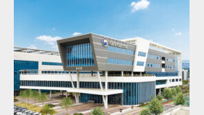 여름철 상추, 씻은 뒤 보관은 피해야…견과류 곰팡이독소 조심