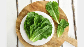 상추 씻어 보관하면 ‘식중독’ 위험…여름철 농산물 이렇게 보관하세요