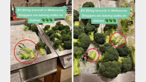 “10원이라도 아끼자”…가격 폭등에 브로콜리 줄기 뜯는 호주인들