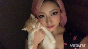 악플 시달린 TV스타 극단선택에…日, 모욕죄 최대 징역 1년으로 개정