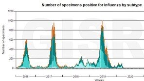 독감에 코로나 겹친 호주 ‘트윈데믹’…올겨울 우리 모습일 수도