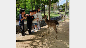 “사슴아 여기 좀 볼래?”
