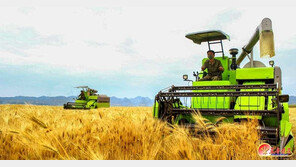 北 일주일간 ‘폭우’ 예보… “사전대책 철저히 세워야”