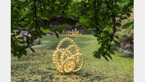 덕수궁 연못에 핀 황금 연꽃…‘유리구슬 조각’ 장인의 마법