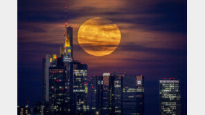 한국에는 왜 슈퍼문이 없을까? [청계천 옆 사진관]