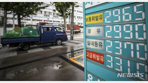 유류세 30% 인하 연말까지 연장…‘농수산 물가 대응반’ 설치