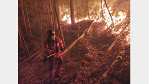 강릉·동해 잿더미 징역12년 선고받은 ‘토치 방화범’ 항소장 제출
