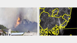 “밀양산불 대기오염 물질, 50km 떨어진 부산까지 덮쳤다”