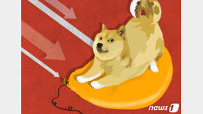 “도지코인 폭락 책임져” 머스크, 332조원 손배 피소