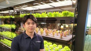 [스타트업人] 손 닿는 곳 모두 푸르게, 퍼밋 스마트팜 유지 보수 관리자 이야기