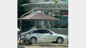 횡단보도 그늘막 아래 주차된 차, 시민은 뙤약볕 아래…“너무 당당”