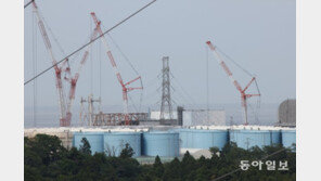 日 대법 “후쿠시마 원전 사고, 국가 배상책임 없다”