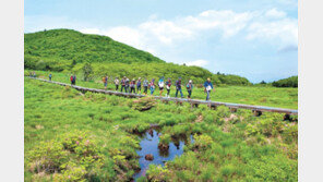 대암삼 용늪부터 내린천까지 인제로 숨 쉬는 자연 만나러 오세요