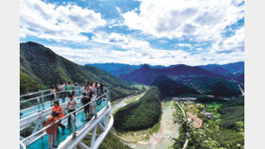 “즐길거리 다채로운 정선에서 지친 몸과 마음 치유하세요”