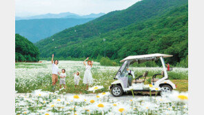 청정자연 속 야생화 천국… 계곡물 쏟아지는 ‘1급수 워터월드’ 