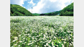 시원한 매력에 흠뻑 빠져봐!