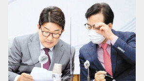 尹 “민주당 정부땐 前정부 수사 안했나”… 野 “표적수사 멈춰야” 