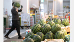 경북 내륙에 또 폭염주의보 발효…TK ‘가마솥 더위’