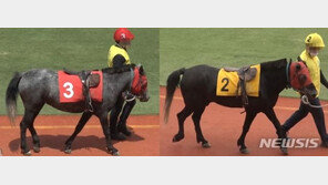 출전마 살이 24㎏ 쪘는데 그대로 경주 진행한 마사회