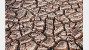 역대급 가뭄 원인으로 지목된 ‘라니냐’… 앞으로 더 잦아질 수 있다 