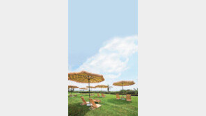 야자수… 밀짚 파라솔…  하와이? 국내 호텔입니다