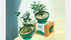 청소년 환경교육 의무화 위한 글로벌 캠페인 동참