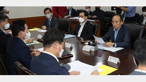 내달 휘발유 L당 57원-경유 38원 내려… 전기-가스료 인상 최소화 