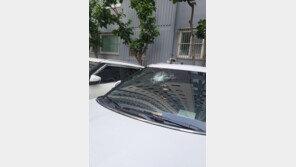 “주차된 차에 얼린 생수병 떨어져 앞 유리 ‘와장창’…사람 맞았다면‘”