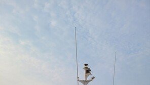 식당서 기도폐쇄, 위기의 순간…마침 곁에 해경 있었다