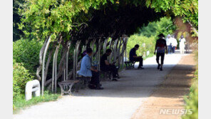 폭염 위기경보 ‘주의’ 단계로 격상…작년보다 22일 빨라
