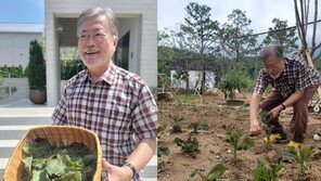 “잊히고 싶다”던 文, 인스타 활동 재개…하루에만 4건 