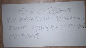 “아드님 이상없어요”…잠복 작전으로 보이스피싱범 검거한 경찰