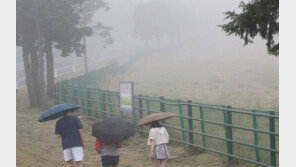 20일 저녁부터 제주 장맛비…21일까지 최대 20㎜