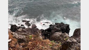 “사는 게 지옥 같아서”…‘절벽추락’ 치매 노모 숨지게 한 40대 징역 10년 구형