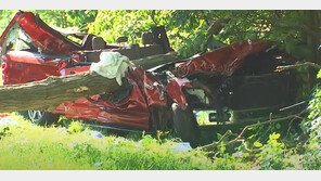 美서 쓰러진 가로수에 맞아 픽업트럭 반파…1명 사망, 2명 입원