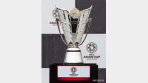 대한축구협회, 2023년 AFC 아시안컵 유치 추진