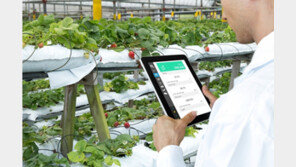 스마트팜 기술 1세대에 머물러 있는데...R&D 예산은 오히려 줄어