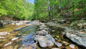 “굽이치는 계곡이 일품”…경기도가 추천하는 둘레길 3곳