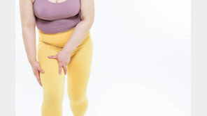 췌장 작은 한국인, 비만-당뇨병에 취약