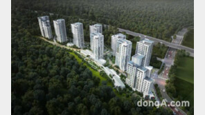 한양, 1117억원 규모 성남복정1 공공공사 수주