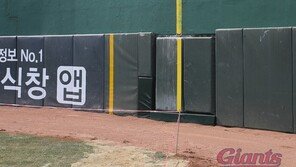 ‘홈 어드밴티지’ 누리나 했는데…남 좋은 일만 시킨 롯데